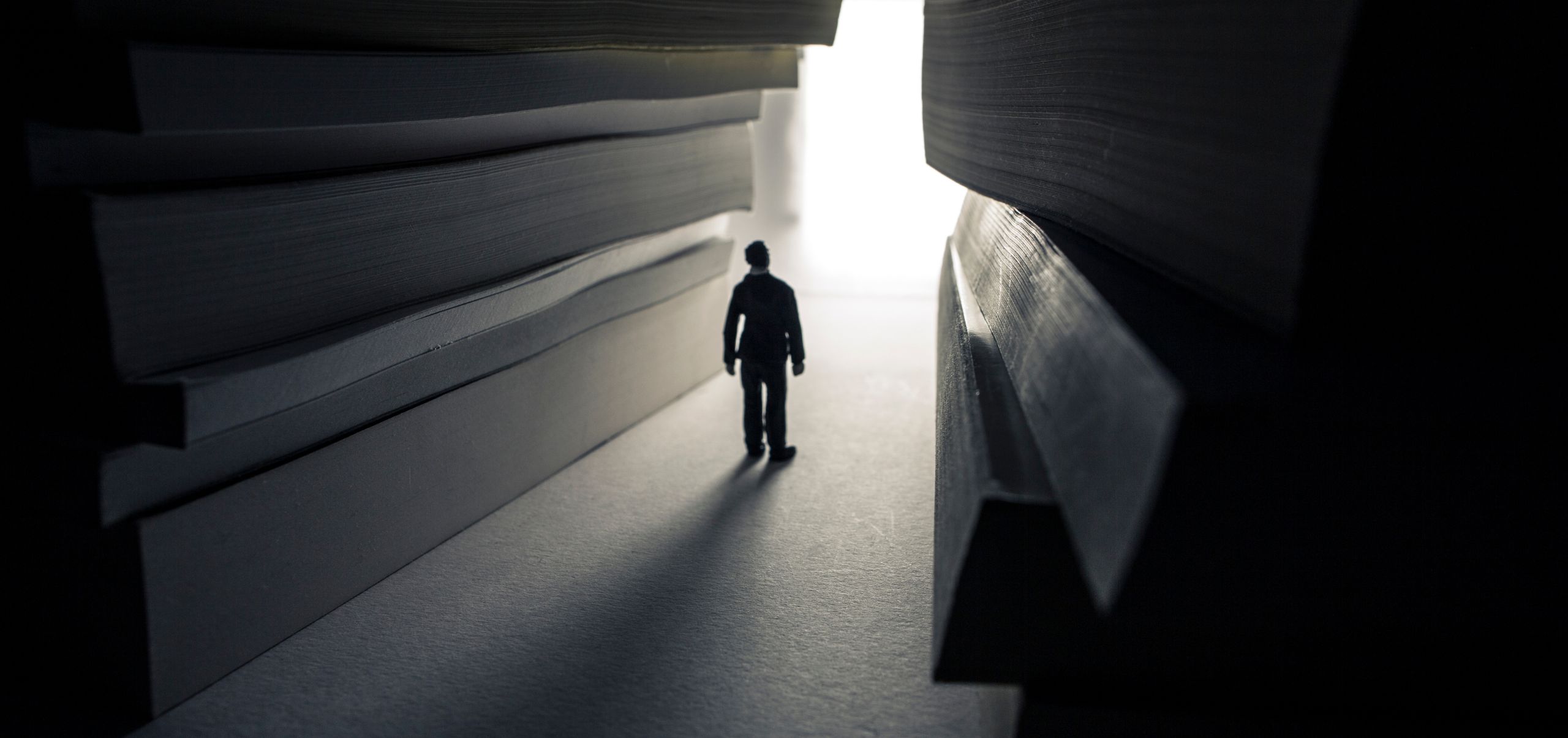 Small figure on a table surrounded by books, looking toward light, representing knowledge and guidance gained through networking