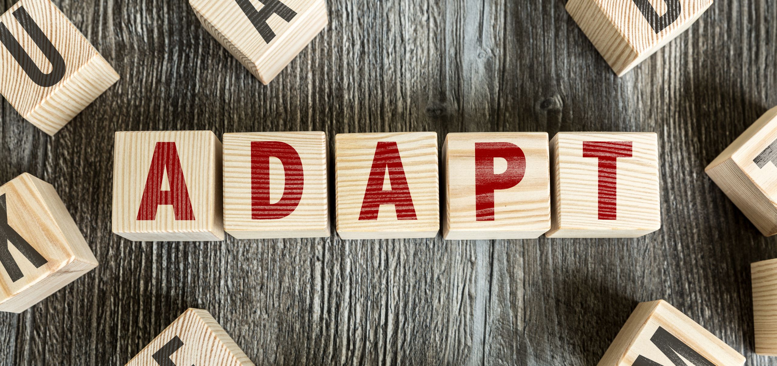Blocks on a wooden table forming the word “Adapt,” highlighting the importance of flexibility in building a profitable side hustle