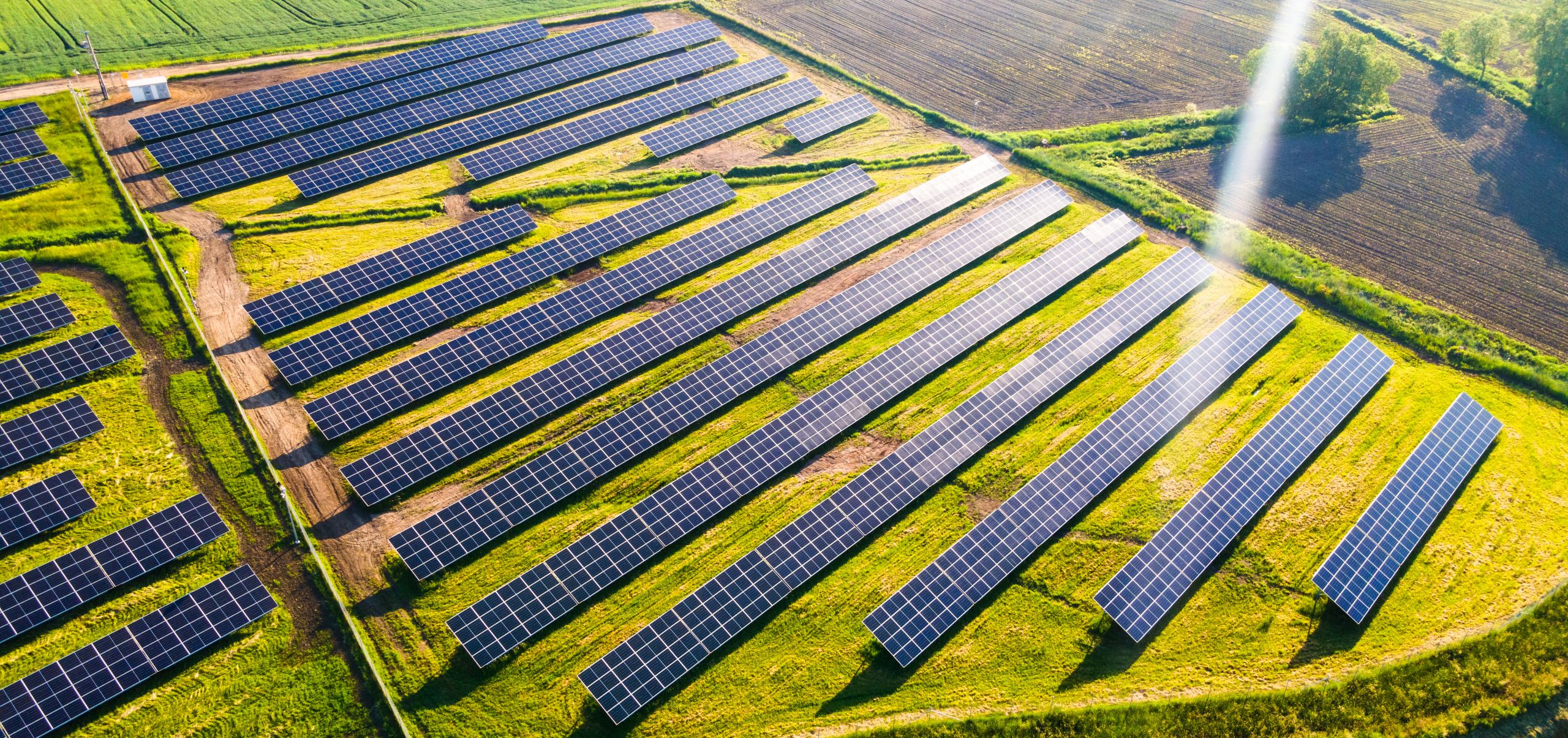 Multiple solar panels in a grassy field with the sun shining, demonstrating best sustainable business practices