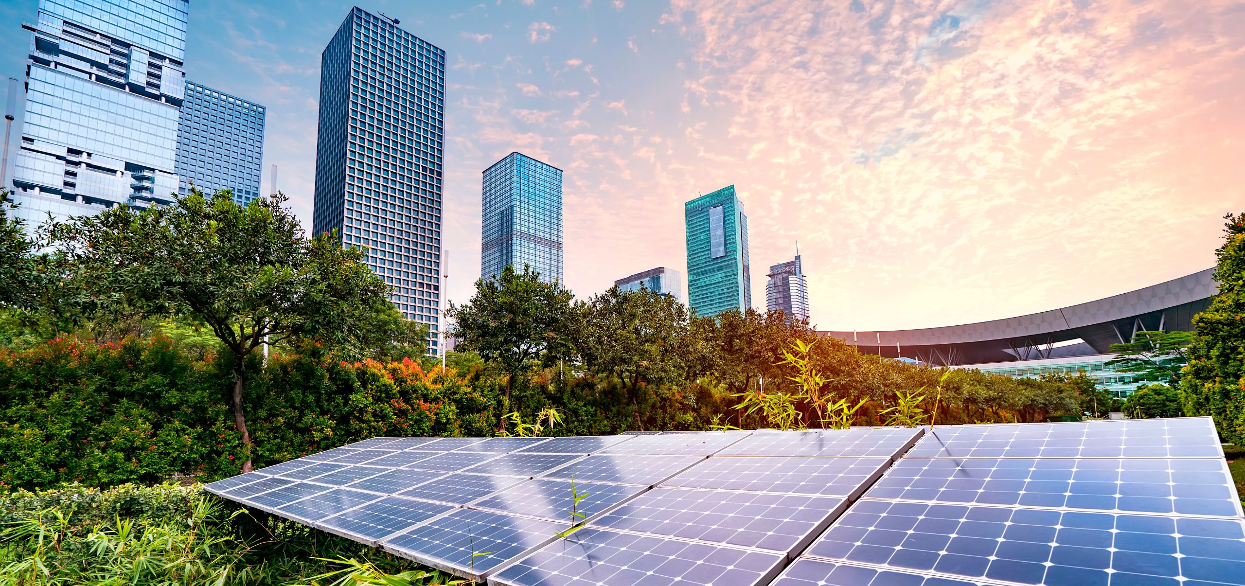 Solar panel in a green area with tall buildings nearby and the sun rising, showing best sustainable business practices