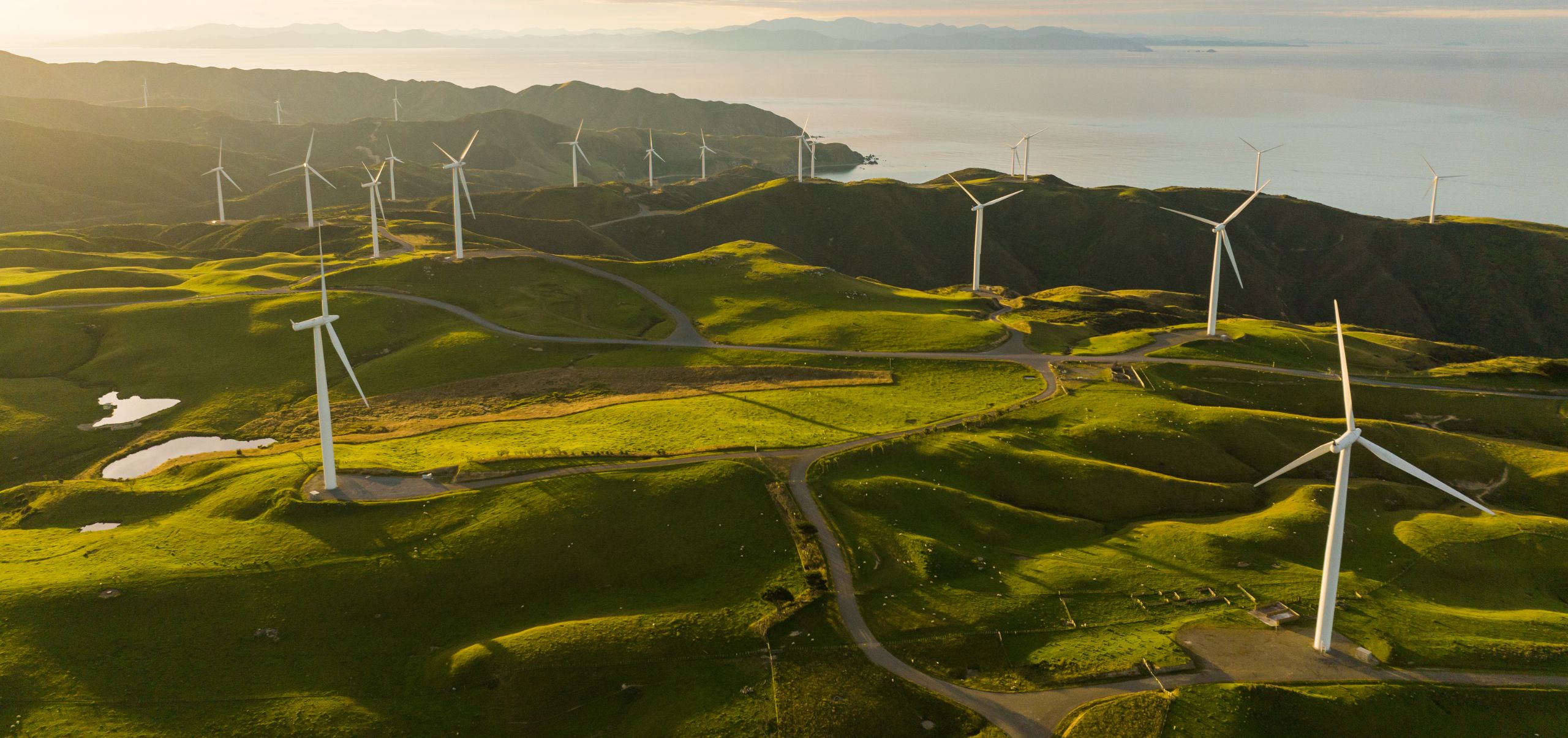 Windmills in a large grassy field near the sea, showing renewable energy use as part of best sustainable business practices